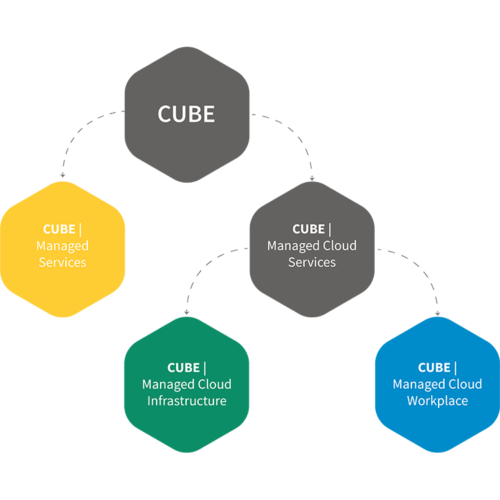 IT Managed Services CUBE